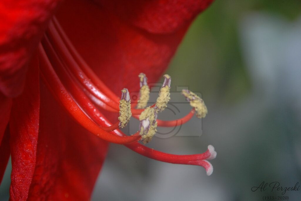 Delicate Engine of Life