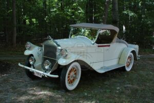 Elegance in the Pines