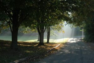 Lightfall on the Road