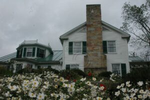 Petals and Porchlight
