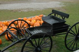 Rain on the Harvest Road